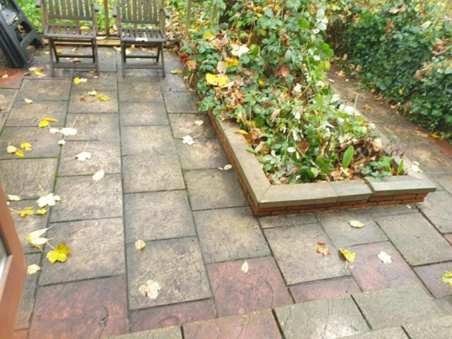 Apartamento 2 Bed Garden Flat West Dulwich Free Street Parking Londres Exterior foto
